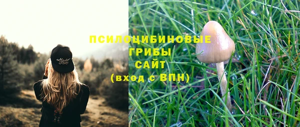 кокс Кущёвская
