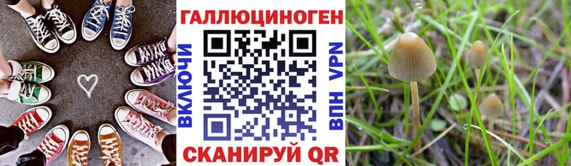 Галлюциногенные грибы Psilocybine cubensis  Купить закладки  Рыбинск 